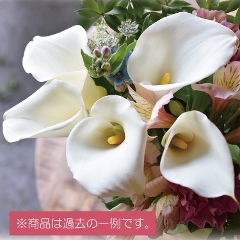 �i�u�[�P�R�[�X�j