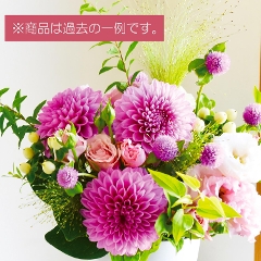 �i�u�[�P�R�[�X�j