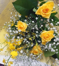 �i�ԑ��jSpring Ywllow