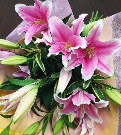 �i�ԑ��j����𑩂˂�