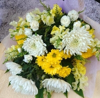 �i�ԑ��j�@���̑z���o