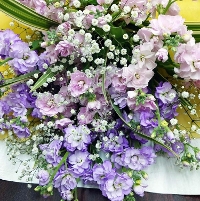 �i�ԑ��j�X�g�b�N�̖F���u�[�P