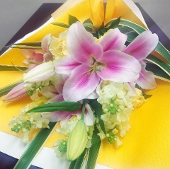 �i�ԑ��j�D��ȏt