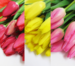 �i�ԑ��j�`���[���b�v�̃u�[�P