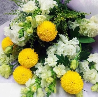 �i�ԑ��j�퐶�̑z���o