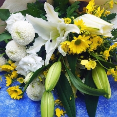 �i�ԑ��j�K���̑z���o