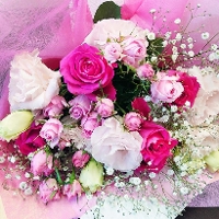 �i�ԑ��j�X�v�����O�u�[�P