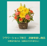 �y�X�܎������z�V�[�Y���A�����W�����g�@S�s�C�G���[�E�I�����W�t