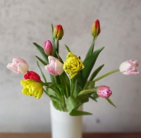 �`���[���b�v�~�b�N�X10�{