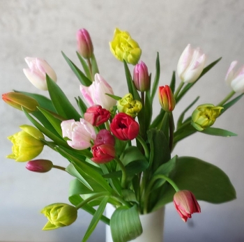 �`���[���b�v�~�b�N�X20�{