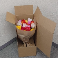 �`���[���b�v�~�b�N�X20�{