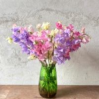 �X�C�[�g�s�[�~�b�N�X15�{