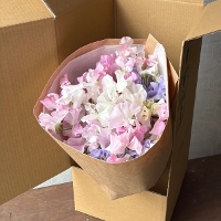 �X�C�[�g�s�[�~�b�N�X30�{