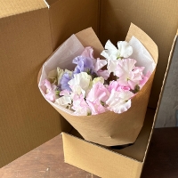 �X�C�[�g�s�[�~�b�N�X15�{