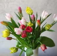 �`���[���b�v�~�b�N�X20�{