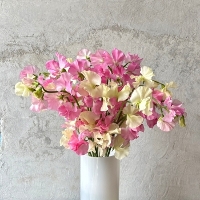 �X�C�[�g�s�[�~�b�N�X15�{