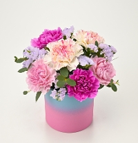 M-3����ި����