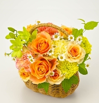 M-5�z���܂�