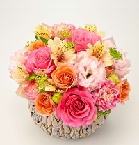 M-6��ٰѸ�ڲ�