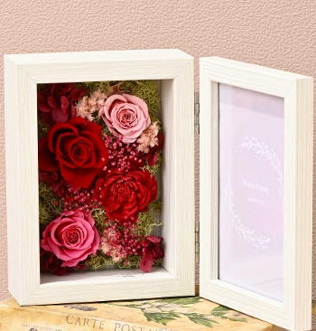 M-9��ػް������ܰ�̫��ڰ�