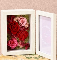 M-9��ػް������ܰ�̫��ڰ�