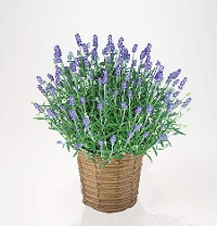 M-13�����ް����è�