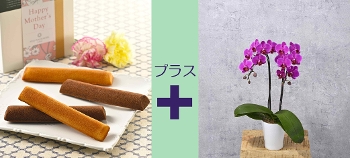 M-22�۰��޲����ށ{������׻����̨�ݼ��ް ���