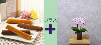 M-23���հ�{������׻����̨�ݼ��ް ���