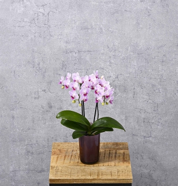 M-23���հ�{������׻����̨�ݼ��ް ���