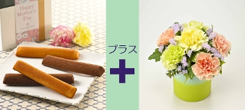 M-25�ư̫ڽā{������׻����̨�ݼ��ް ���