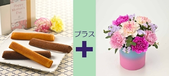 M-26����ި�����{������׻����̨�ݼ��ް ���