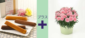 M-27��Ȱ���è��߰è�{������׻����̨�ݼ��ް ���