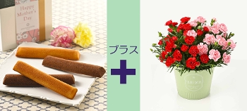 M-28��Ȱ���è����ӂ̋C�����{������׻����̨�ݼ��ް ���