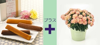 M-29��Ȱ���è�����ذс{������׻����̨�ݼ��ް ���