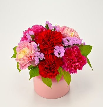 M-30׽���ذ�ٰ�ޭ�{�����D���ٰ��ݸ�