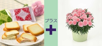 M-33��Ȱ���è��߰è��{�����D���ٰ��ݸ�