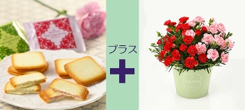 M-34��Ȱ��݊��ӂ̋C�����{�����D���ٰ��ݸ�