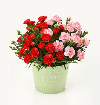 M-34��Ȱ��݊��ӂ̋C�����{�����D���ٰ��ݸ�