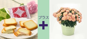 M-35��Ȱ�������ذс{�����D���ٰ��ݸ�