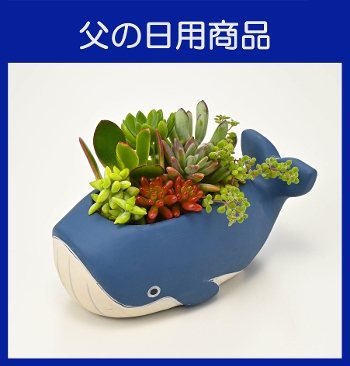 �e-2��������N�W���̔w��