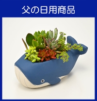 �e-2��������N�W���̔w��