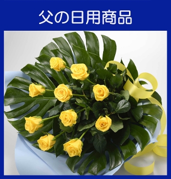 �e-4�K���̉��F������ް�