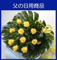 �e-4�K���̉��F������ް�