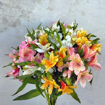 �A���X�g�������A�~�b�N�X10�{