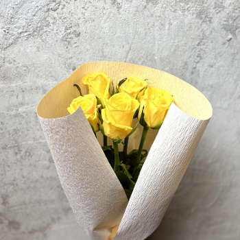 �T�{�̃o���i���j