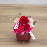 �v���U�[�u�h�t�����[�@�V���G�b�g�E���b�h