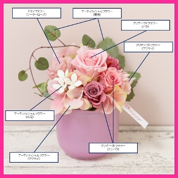 �v���U�[�u�h�t�����[�@�V���G�b�g�E�s���N