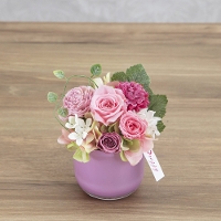 �v���U�[�u�h�t�����[�@�V���G�b�g�E�s���N