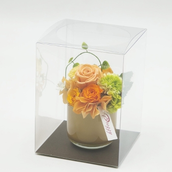�v���U�[�u�h�t�����[�@�V���G�b�g�E�I�����W