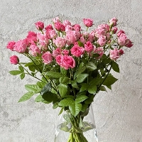 �X�v���[�o��10�{